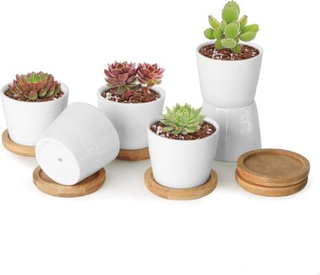 simple-ceramic-pots