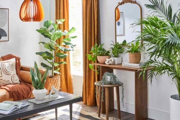 How to Arrange Plants in Living Room